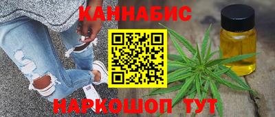 шишки Заволжье