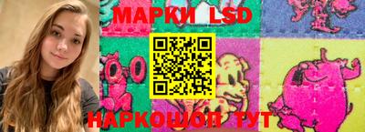 шишки Заволжье