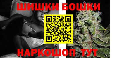 шишки Заволжье