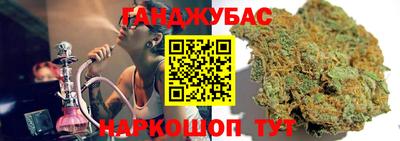 шишки Заволжье