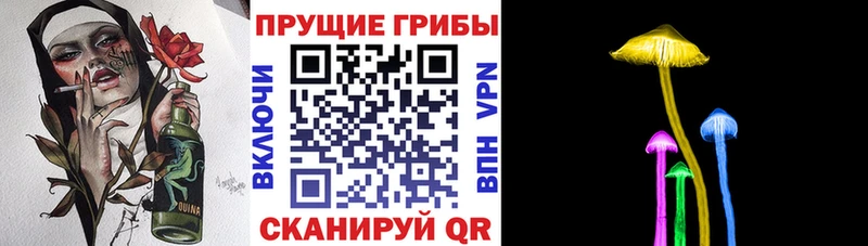 гидра   Мирный  Псилоцибиновые грибы ЛСД 